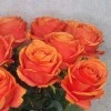 Artificial Roses Orange Crush 60cm - R143 M2