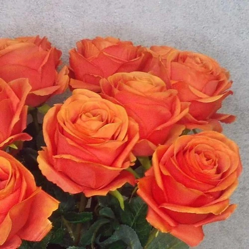 Artificial Roses Orange Crush 60cm - R143 M2