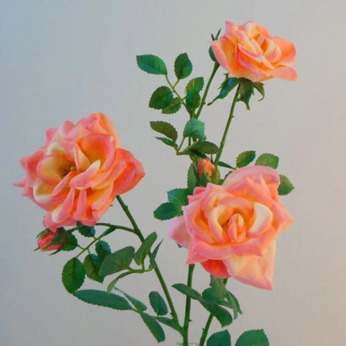 Artificial Roses Spray Peach 61cm - R148 I4