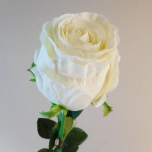 Belgravia Rose Cream 71cm - R033 L3