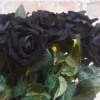 Black Velvet Rose 47cm - R319