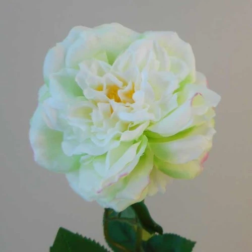 Calypso Artificial Ruffled Rose Green 70cm - R560 R3