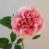 Calypso Artificial Ruffled Rose Pink 70cm - R537 R1