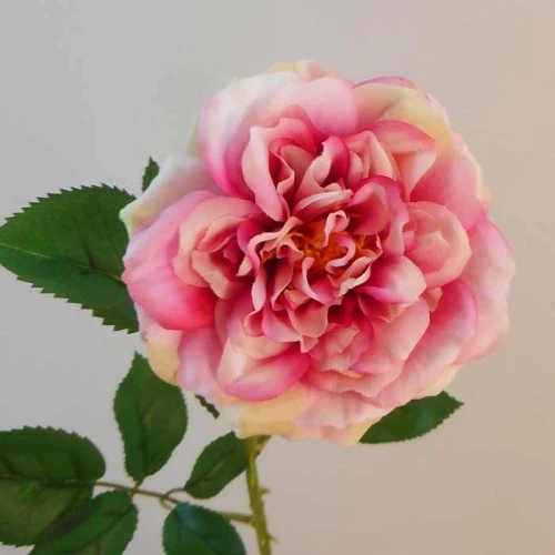 Calypso Artificial Ruffled Rose Pink 70cm - R537 R1