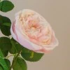 Catherine Artificial Spray Roses Pale Pink 84cm - R473 