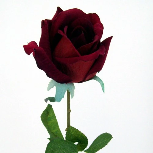 Velvet Bud Rose Red 60cm - R019 Q4