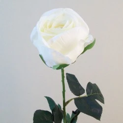Artificial Eternity Roses Cream 60cm - R831 L3