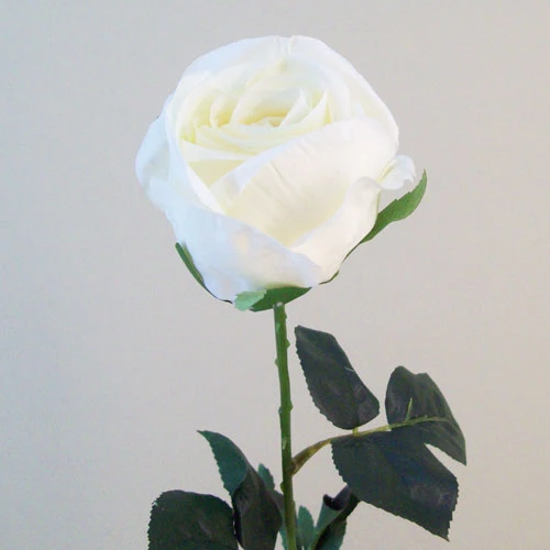 Artificial Eternity Roses Cream 60cm - R831 L3