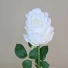 Artificial Rose Cream 62cm - R310 O2
