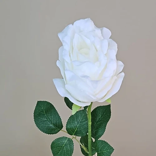 Artificial Rose Cream 62cm - R310 O2