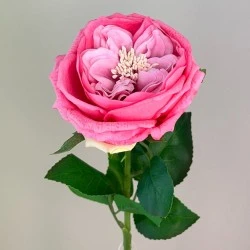 Fresh Touch Cabbage Roses Pink 60cm - R278 S2