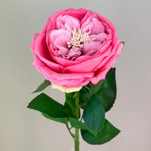 Fresh Touch Cabbage Roses Pink 60cm - R278 S2