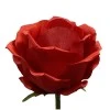 Giant Silk Rosebuds Red 130cm | VM Display Prop - R968