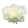 Giant Silk Roses Cream 130cm | VM Display Prop - R966 OFF