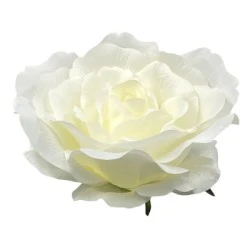 Giant Silk Roses Cream 130cm | VM Display Prop - R966 OFF