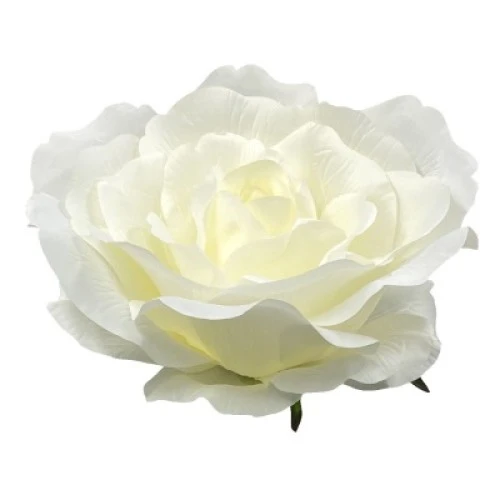 Giant Silk Roses Cream 130cm | VM Display Prop - R966 OFF