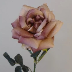 Harvest Moon Artificial Roses Mink 62cm - R184 Q3