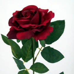 Premium Roses Red 70cm - R014C M4