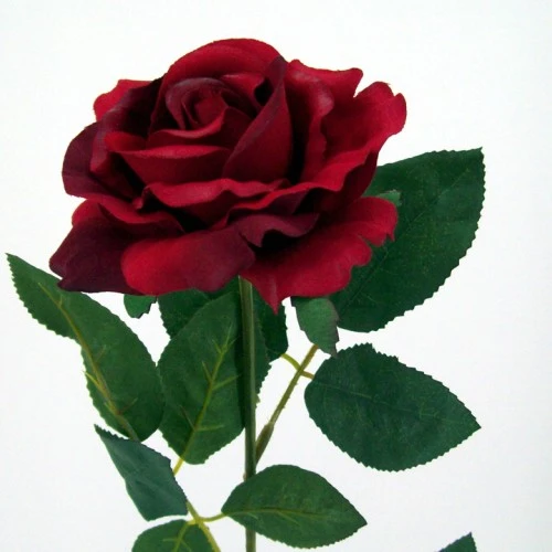 Premium Roses Red 70cm - R014C M4