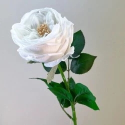 Fresh Touch Cabbage Roses White 60cm - R090 S2