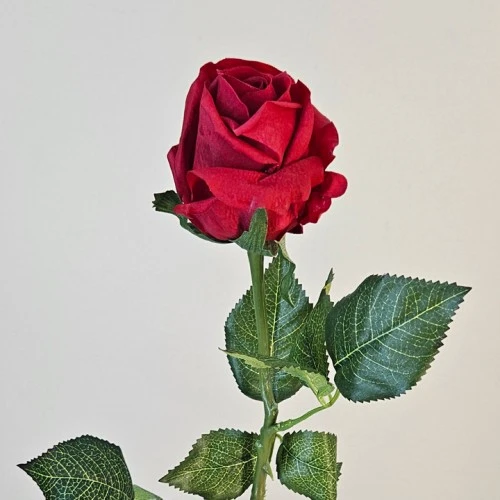 Real Touch Rose Bud Red 55cm - R299 O4