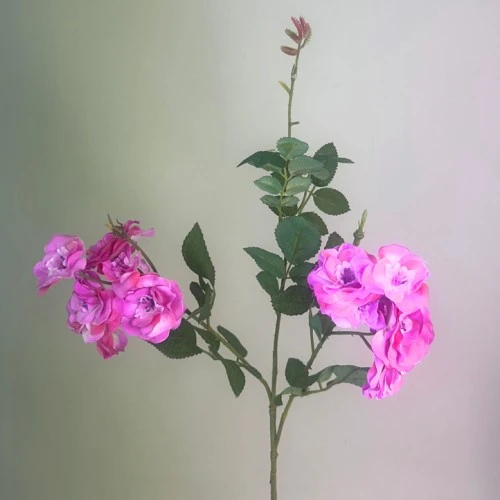 Wild Rose Spray Pink 64cm - R096 H3