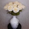 Roses Miss Havisham Cream 64cm - R523 DD3
