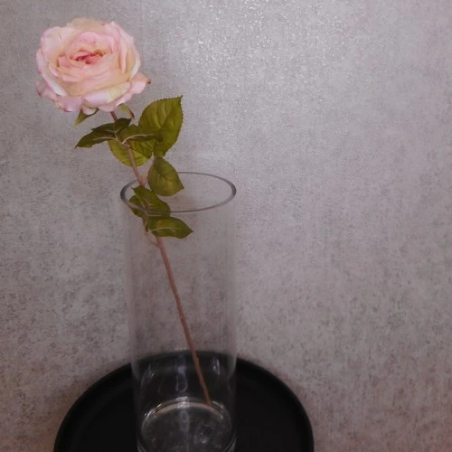 Roses Miss Havisham Pink 64cm - R512 L3