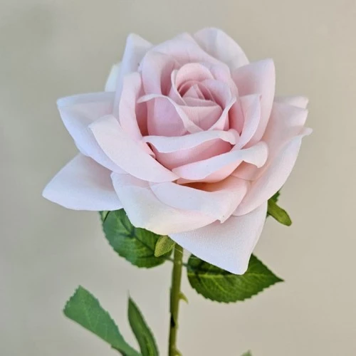 Velvet Rose Pale Pink 56cm - R162 M2