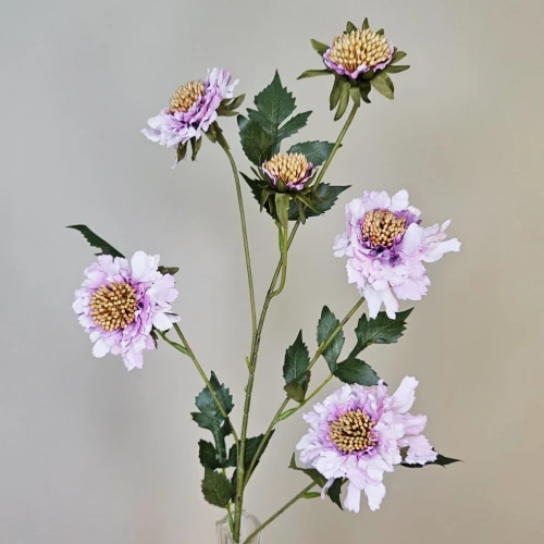 Silk Scabious Flowers Lilac 73cm | Artificial Scabiosa - S105 T2