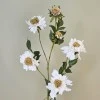 Silk Scabious Flowers Warm Cream 73cm | Artificial Scabiosa - S028 R2