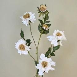 Silk Scabious Flowers Warm Cream 73cm | Artificial Scabiosa - S028 R2