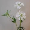 Silk Scabious Flowers White 72cm | Artificial Scabiosa - S110A 