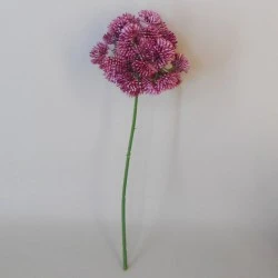 Artificial Sedum Dark Pink 27cm - S022 L4