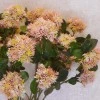 Artificial Sedum Light Pink 65cm - S067 R4