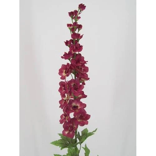 Plum Silk Delphinium or Larkspur 75cm - D024 D4