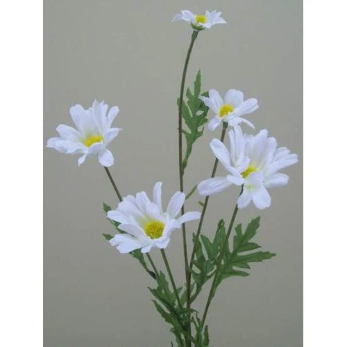 Silk Daisy Stem 69cm - D045 C3