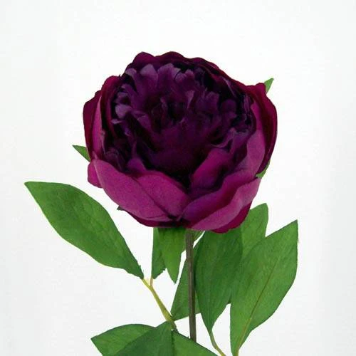 Peony Flowers Magenta 60cm - P002B K3