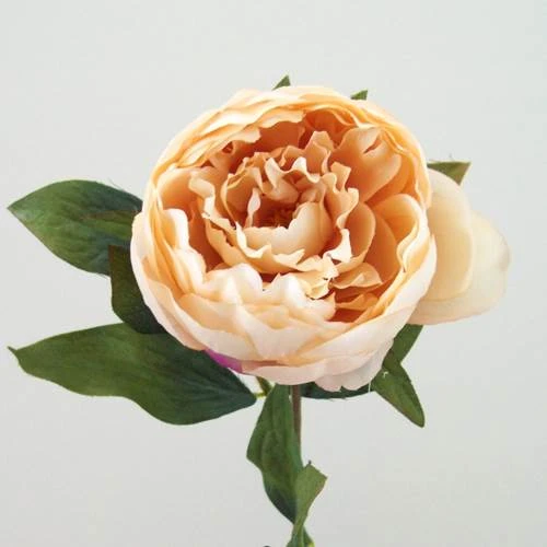 Peony Flowers Champagne Peach 63cm - P009 M3