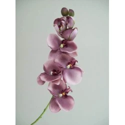 Vintage Phalaenopsis Orchid Purple 81cm - O045 K4