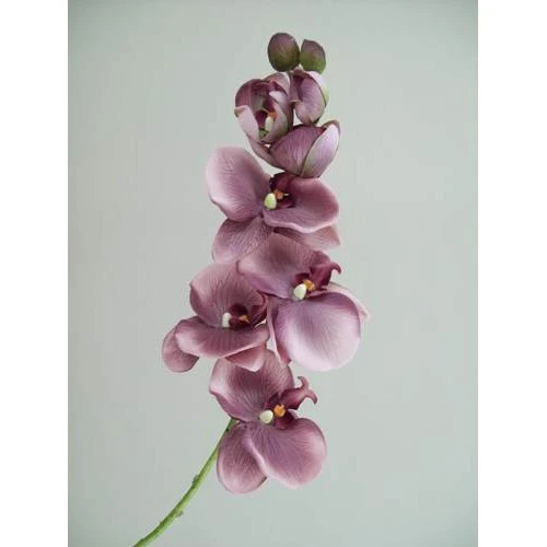 Vintage Phalaenopsis Orchid Purple 81cm - O045 K4