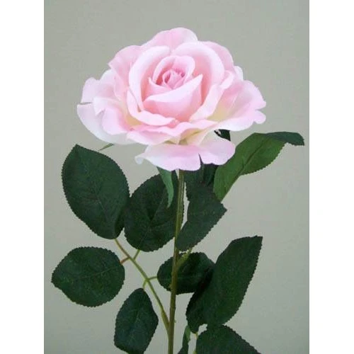 Premium Roses Pink 70cm - R014E J4