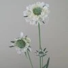 Silk Scabious Flowers Cream 64cm | Artificial Scabiosa - S060 U4