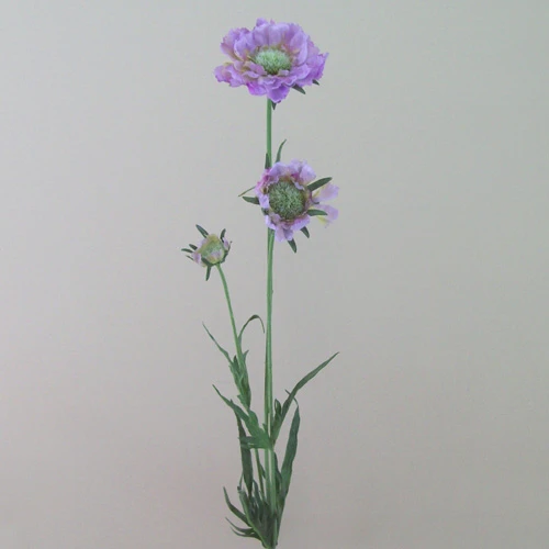 Silk Scabious Flowers Lilac 64cm | Artificial Scabiosa - S059 U4