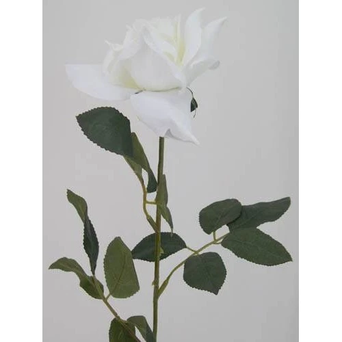 White Tea Rose 67cm - R034 R3