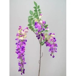 Wisteria Stem Purple - W014 S4