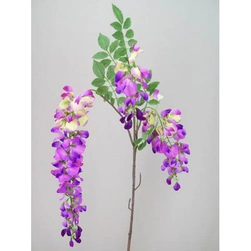 Wisteria Stem Purple - W014 S4