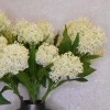 Artificial Skimmia Cream 60cm - S045 R2