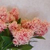 Artificial Skimmia Pink 60cm - S064 Q2