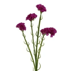 Artificial Statice Magenta Pink 62cm - S132 P4